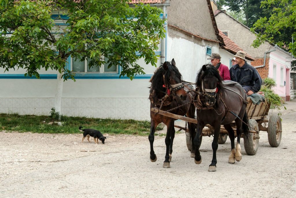 Svatá Helena - lidé vracející se z polí s koňským povozem | miropink/123RF.com