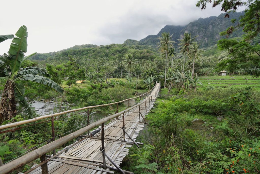 Tropická krajina na cestě do Bajawa | estivillml/123RF.com