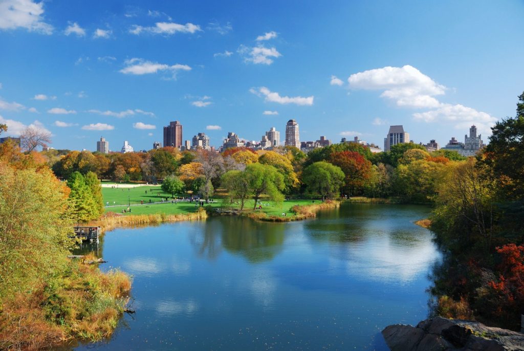 Central Park v New Yorku | rabbit75123/123RF.com