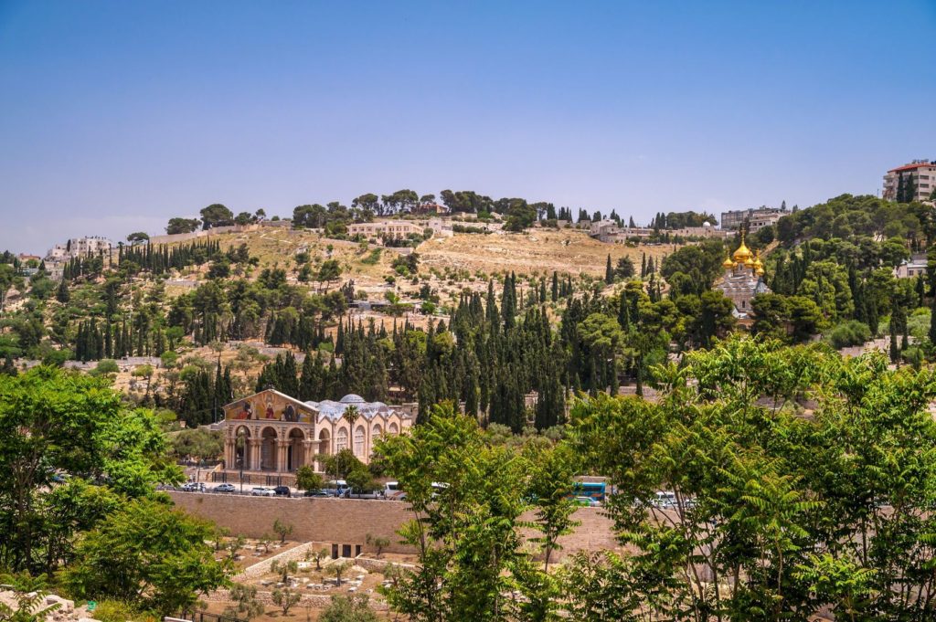 Pohled na Olivovou horu v Jeruzalémě | naxaso/123RF.com
