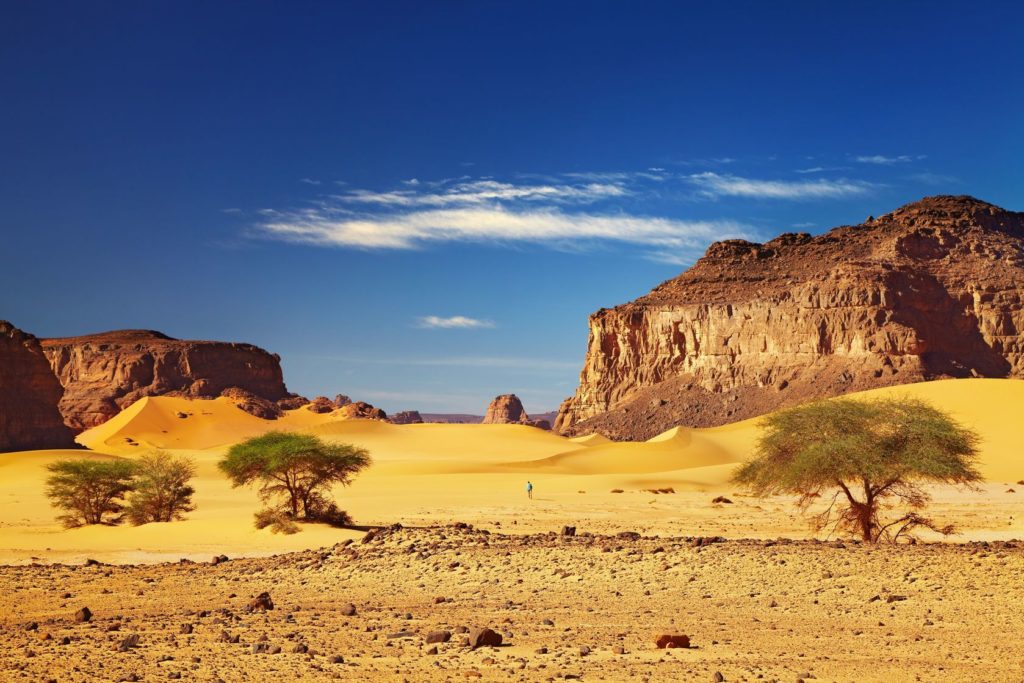 Saharská poušť v Alžírsku | muha/123RF.com