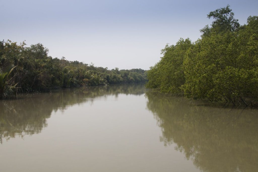 Sundarbanský deštný prales v Bangladéši | waldorf27/123RF.com