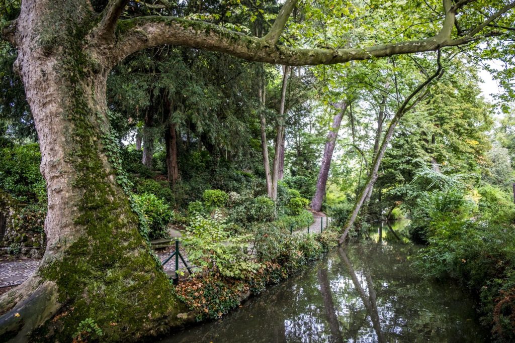 Vegetace v Jardin des Plantes v Toulouse | csp/123RF.com