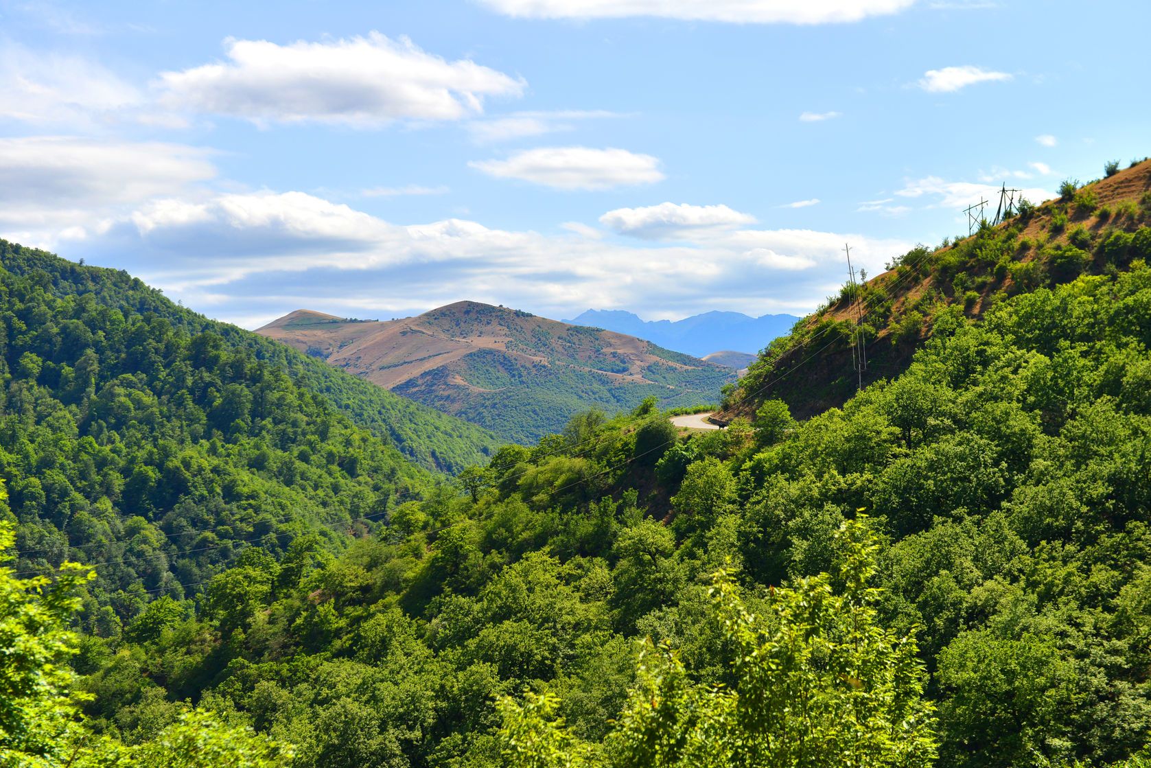 флора азербайджана